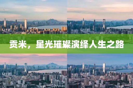 贡米,星光璀璨演绎人生之路