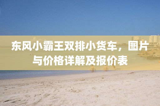 东风小霸王双排小货车，图片与价格详解及报价表