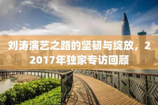 刘涛演艺之路的坚韧与绽放,22017年独家专访回顾