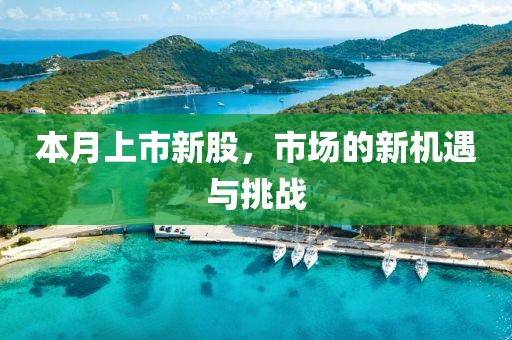 本月上市新股，市场的新机遇与挑战
