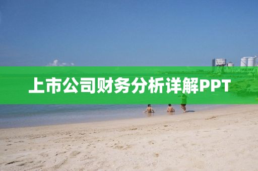 上市公司财务分析详解PPT