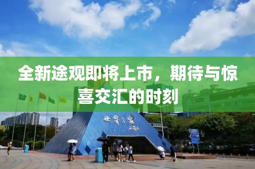 花开无言 第16页