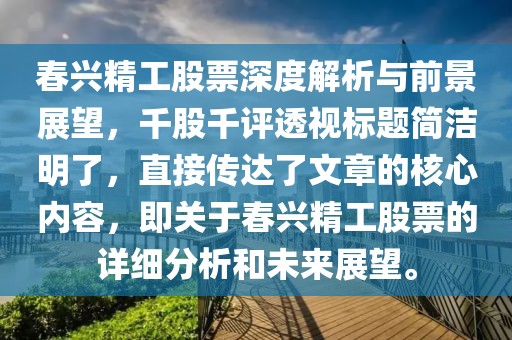 春兴精工股票深度解析与前景展望,千股千评透视标题简洁明了,直接传达了文章的核心内容,即关于春兴精工股票的详细分析和未来展望。