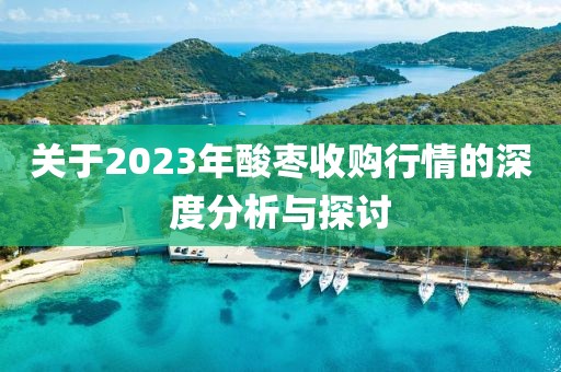 关于2023年酸枣收购行情的深度分析与探讨
