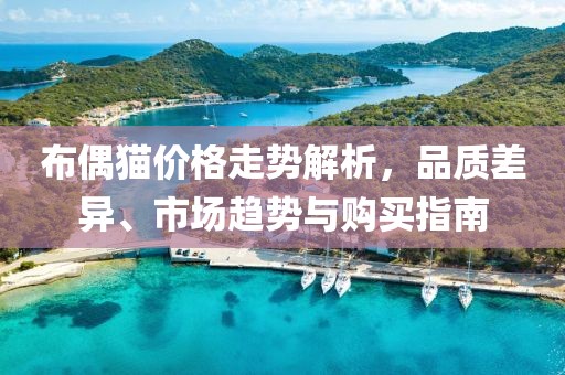 布偶猫价格走势解析，品质差异、市场趋势与购买指南
