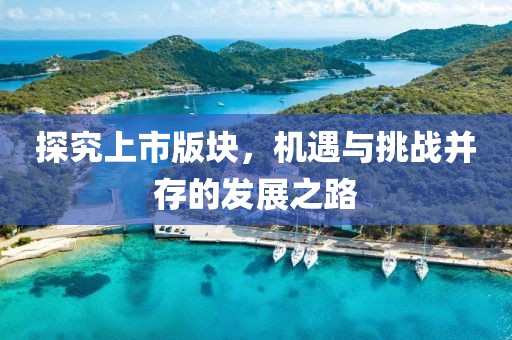 探究上市版块，机遇与挑战并存的发展之路