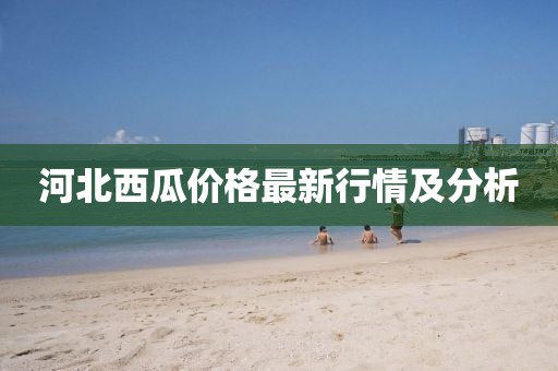 河北西瓜价格最新行情及分析