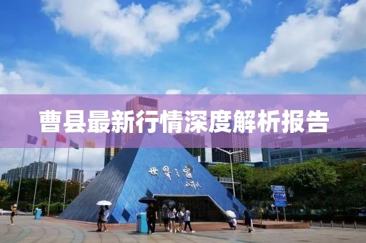 曹县最新行情深度解析报告