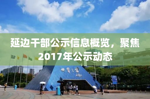延边干部公示信息概览,聚焦2017年公示动态