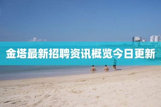 金塔最新招聘资讯概览今日更新