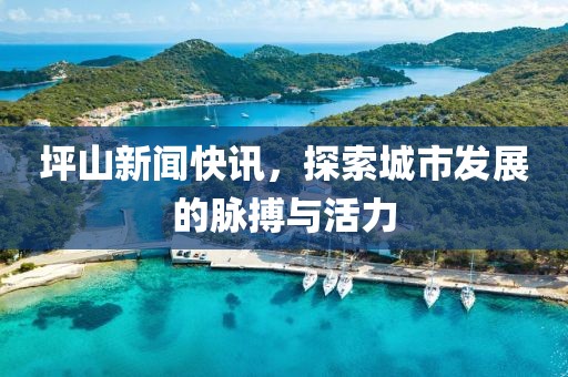 坪山新闻快讯,探索城市发展的脉搏与活力