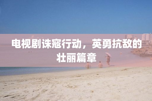 电视剧诛寇行动，英勇抗敌的壮丽篇章