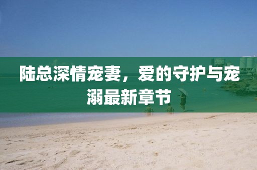 陆总深情宠妻，爱的守护与宠溺最新章节