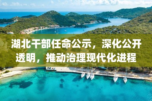 湖北干部任命公示，深化公开透明，推动治理现代化进程