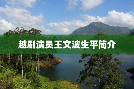 越剧演员王文波生平简介