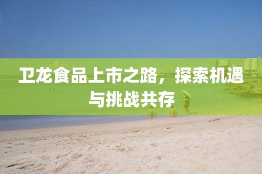 卫龙食品上市之路，探索机遇与挑战共存
