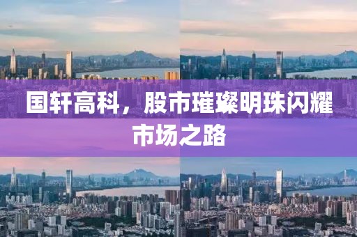 国轩高科，股市璀璨明珠闪耀市场之路