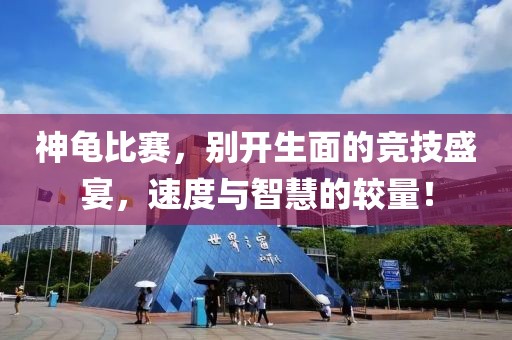 神龟比赛，别开生面的竞技盛宴，速度与智慧的较量！