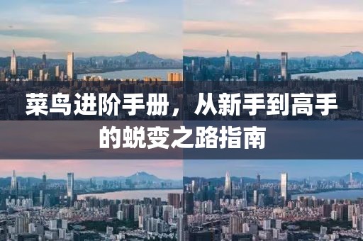 菜鸟进阶手册，从新手到高手的蜕变之路指南