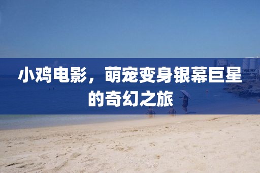 小鸡电影，萌宠变身银幕巨星的奇幻之旅