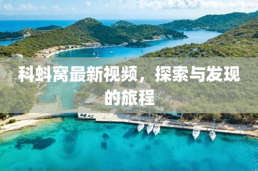 科蚪窝最新视频，探索与发现的旅程