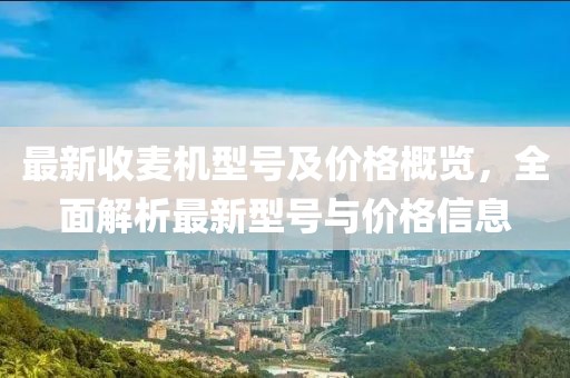 贱爱 第17页