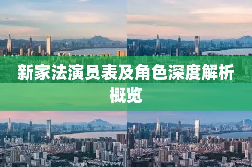 新家法演员表及角色深度解析概览
