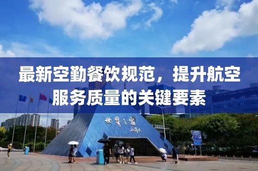 最新空勤餐饮规范，提升航空服务质量的关键要素