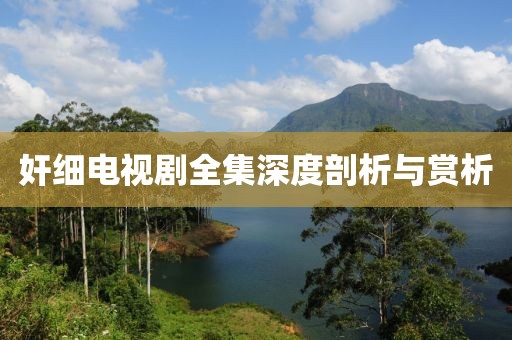 奸细电视剧全集深度剖析与赏析
