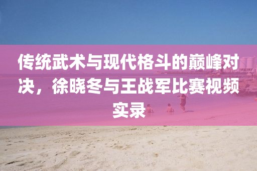 传统武术与现代格斗的巅峰对决，徐晓冬与王战军比赛视频实录