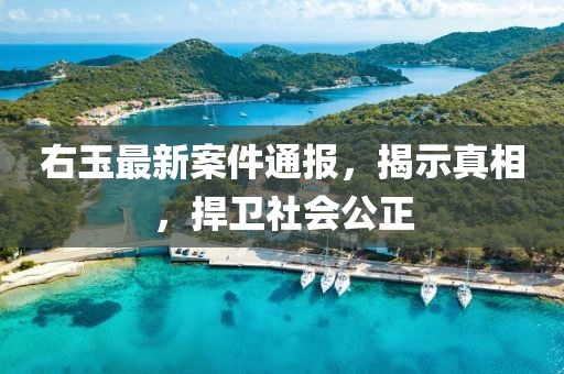 右玉最新案件通报，揭示真相，捍卫社会公正