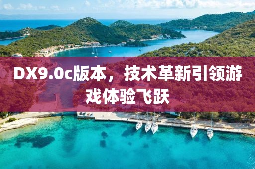 DX9.0c版本，技术革新引领游戏体验飞跃