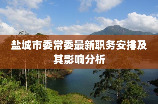 盐城市委常委最新职务安排及其影响分析