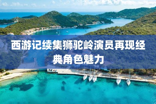西游记续集狮驼岭演员再现经典角色魅力
