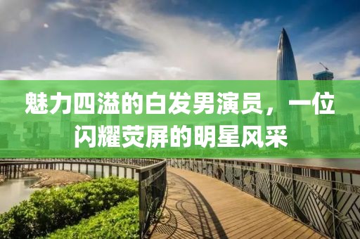魅力四溢的白发男演员，一位闪耀荧屏的明星风采