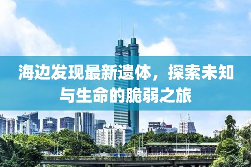 海边发现最新遗体，探索未知与生命的脆弱之旅