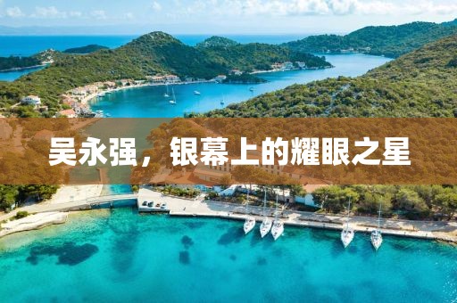 吴永强，银幕上的耀眼之星