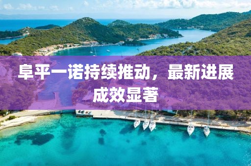 阜平一诺持续推动，最新进展成效显著