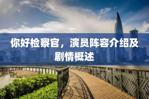 你好检察官，演员阵容介绍及剧情概述