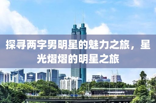 探寻两字男明星的魅力之旅，星光熠熠的明星之旅