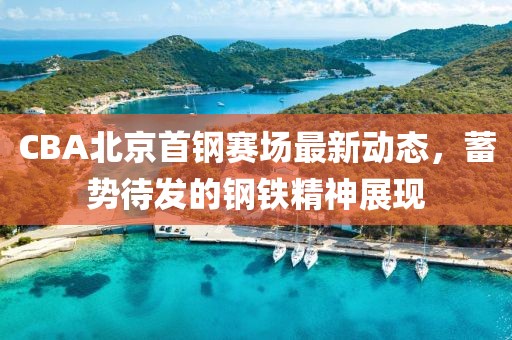 CBA北京首钢赛场最新动态，蓄势待发的钢铁精神展现