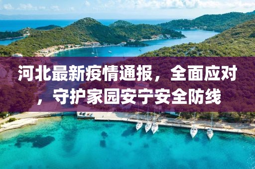 河北最新疫情通报，全面应对，守护家园安宁安全防线