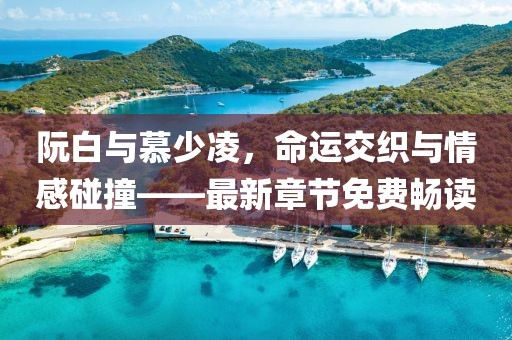阮白与慕少凌，命运交织与情感碰撞——最新章节免费畅读