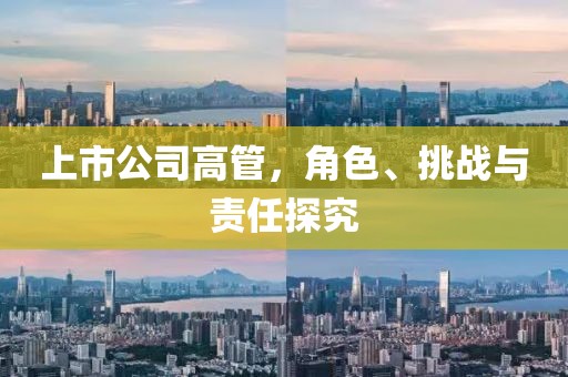 上市公司高管，角色、挑战与责任探究