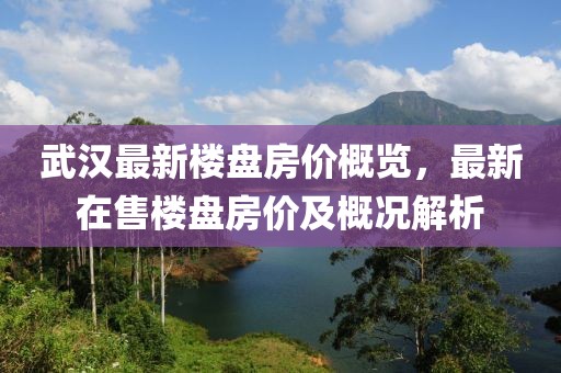 武汉最新楼盘房价概览，最新在售楼盘房价及概况解析