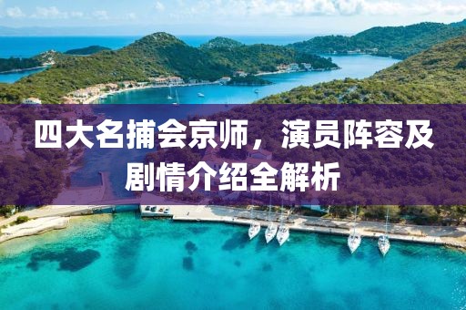 四大名捕会京师，演员阵容及剧情介绍全解析