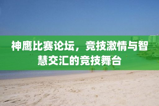 神鹰比赛论坛，竞技激情与智慧交汇的竞技舞台