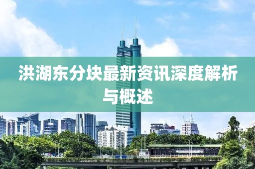 洪湖东分块最新资讯深度解析与概述