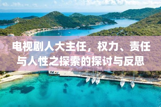 电视剧人大主任，权力、责任与人性之探索的探讨与反思