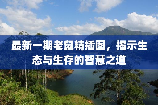 最新一期老鼠精插图，揭示生态与生存的智慧之道